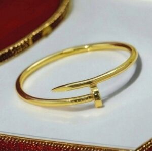 Luxury Designer Nail Screw 18k Gold Plated Stainless Steel Bracelet